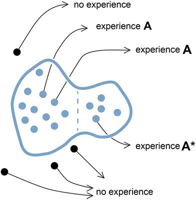 Consciousness as a Product of Evolution: Contents, Selector Circuits, and Trajectories in Experience Space